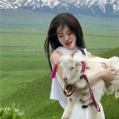 双龙会粤语