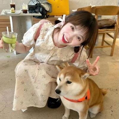 海啸与樱花